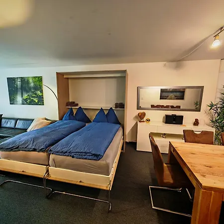Grosszuegige 3 Schlafzimmer Mit Privatem Garten Neben Jakobshornbahn * דאבוס
