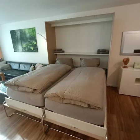 Grosszuegige 3 Schlafzimmer Mit Privatem Garten Neben Jakobshornbahn דירה דאבוס