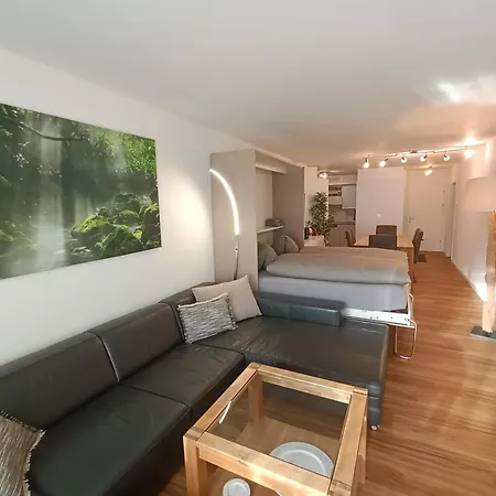 Grosszuegige 3 Schlafzimmer Mit Privatem Garten Neben Jakobshornbahn דאבוס