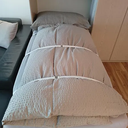 Grosszuegige 3 Schlafzimmer Mit Privatem Garten Neben Jakobshornbahn